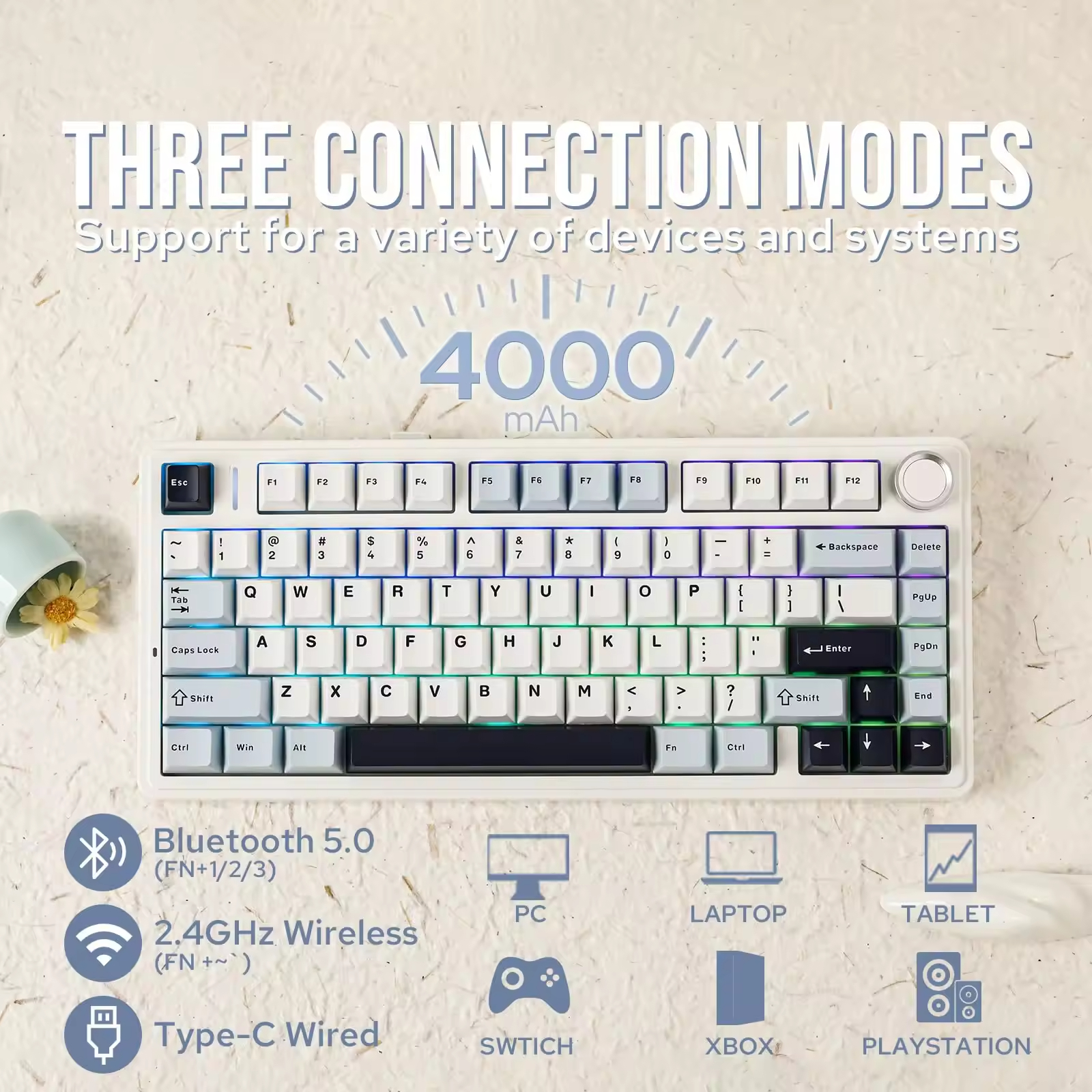 Shopping Sites International W – Gaming Accessories Shop Bewertung und Preis