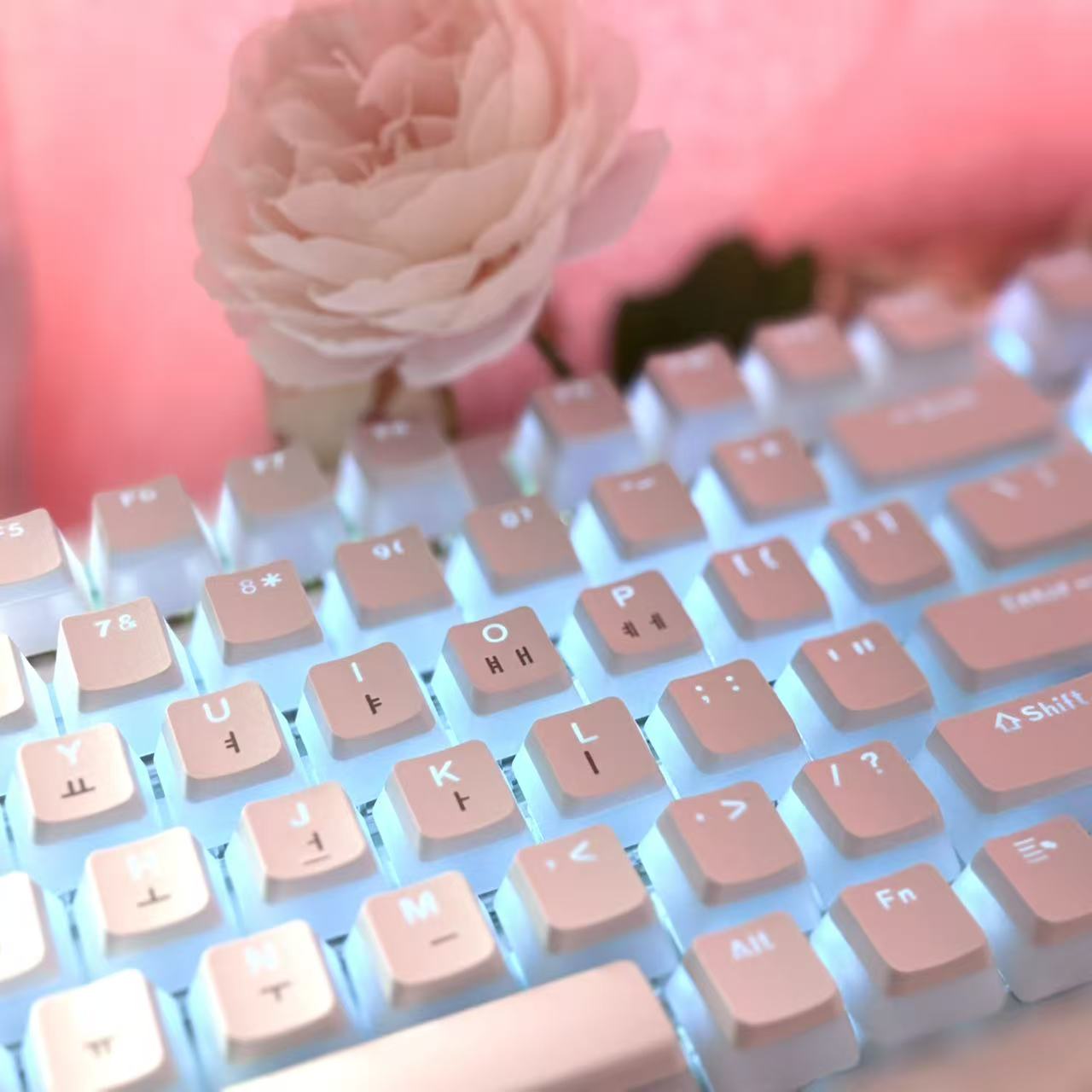 Hangul Keycap Korean Layout Ke – Gaming Accessories Aesthetic Bewertung und Preis